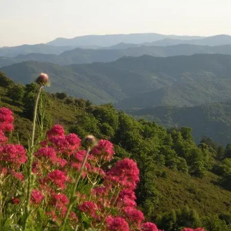 Du Grand Sourel, Sa Vue Et Son Jardin Hébergement de vacances