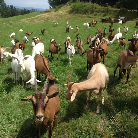 Hébergement de vacances Du Grand Sourel, Sa Vue Et Son Jardin *