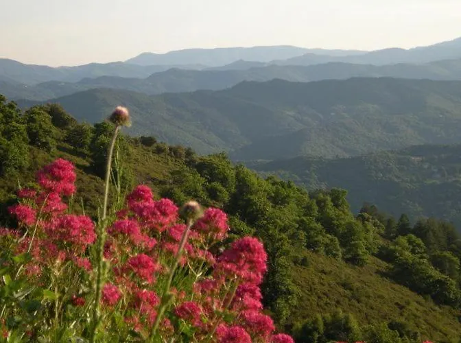 Du Grand Sourel, Sa Vue Et Son Jardin 別荘