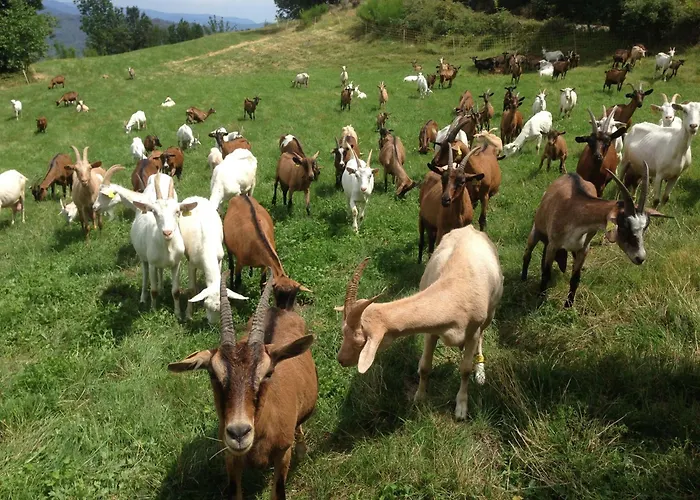 別荘 Du Grand Sourel, Sa Vue Et Son Jardin *